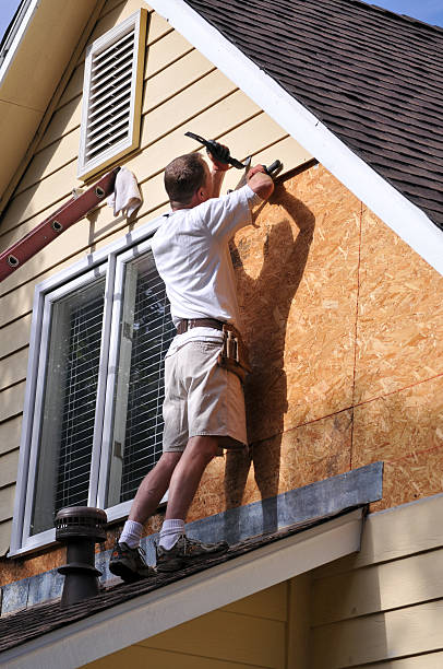Best Demolition Debris Removal  in Ely, IA